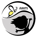 Cryptocurrency {name:ru} ARMTOKEN TARM Cryptocurrency {name:ru} ARMTOKEN TARM