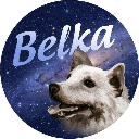 Cryptocurrency {name:ru} Belka BLK Cryptocurrency {name:ru} Belka BLK