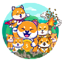 Cryptocurrency {name:ru} DogeVillage DOGEV