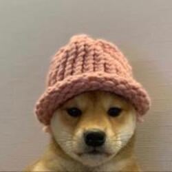 Cryptocurrency {name:ru} dogwifhat WIF Cryptocurrency {name:ru} dogwifhat WIF