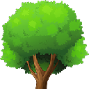 Cryptocurrency {name:ru} Octree OCT