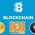 Blockchain will now support Bitcoin Cash Blockchain will now support Bitcoin Cash