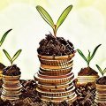 Let's invest money in HYIPs properly or how to not lose your investments Let's invest money in HYIPs properly or how to not lose your investments
