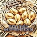 Golden rules of investment in HYIPs Golden rules of investment in HYIPs