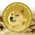 Overview of the cryptocurrency Dogecoin (DOGE) Overview of the cryptocurrency Dogecoin (DOGE)