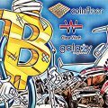 Companies most affected by the crypto market crash Companies most affected by the crypto market crash