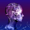 Neural implant helped an ALS patient transmit almost 2 million words Neural implant helped an ALS patient transmit almost 2 million words