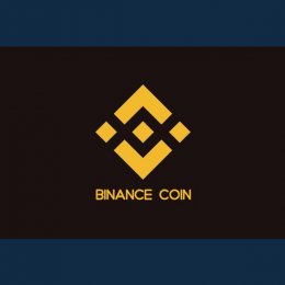 Обзор криптовалюты Binance Coin / Бинанс Коин (BNB)