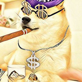 Dogecoin cryptocurrency perspectivity Dogecoin cryptocurrency perspectivity