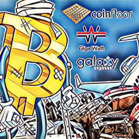 Companies most affected by the crypto market crash Companies most affected by the crypto market crash