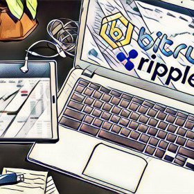 Support for 26 XRP pairs on the Bitrue crypto exchange Support for 26 XRP pairs on the Bitrue crypto exchange