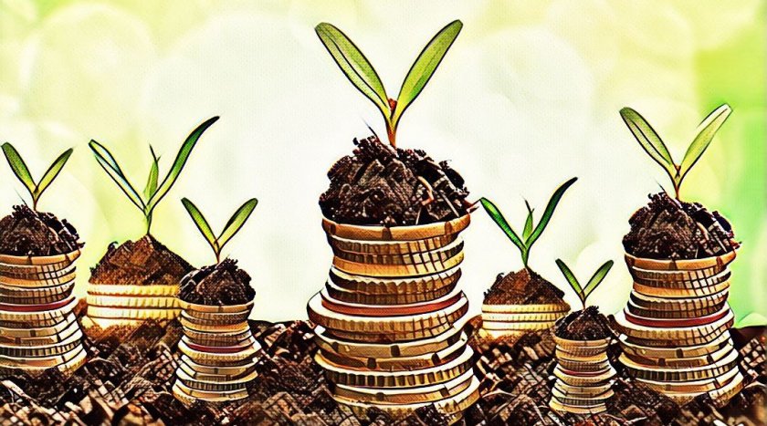 Let's invest money in HYIPs properly or how to not lose your investments Let's invest money in HYIPs properly or how to not lose your investments