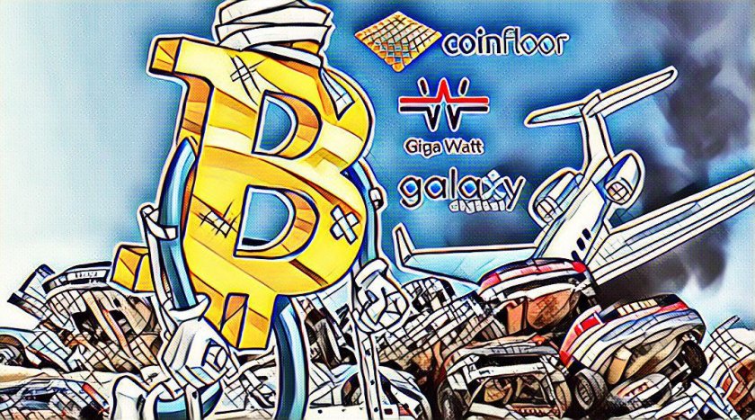 Companies most affected by the crypto market crash Companies most affected by the crypto market crash